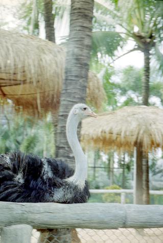 09a