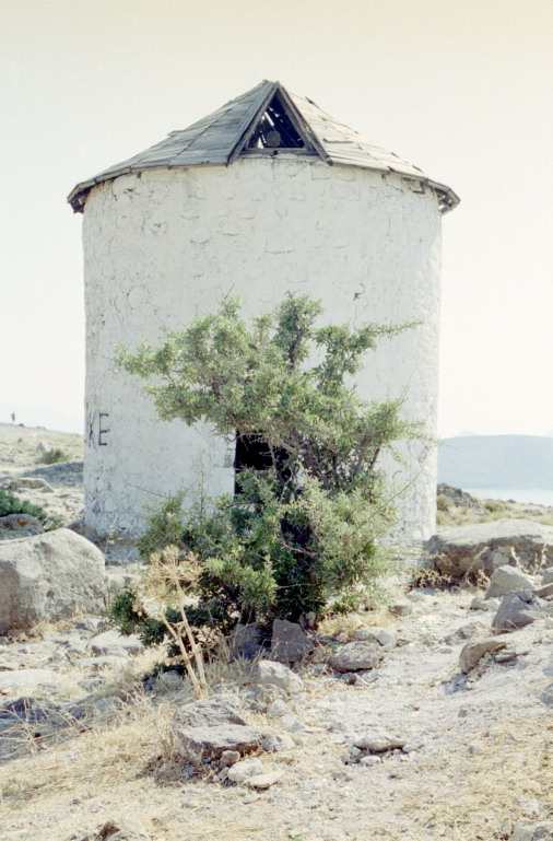 05