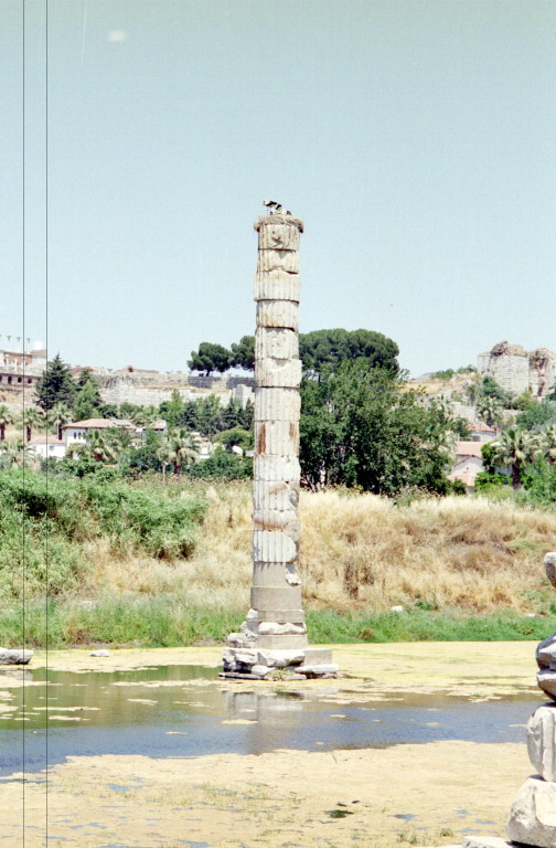 28
