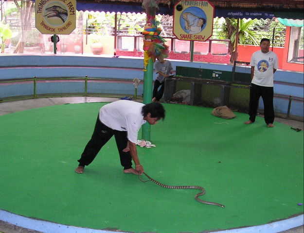 2002