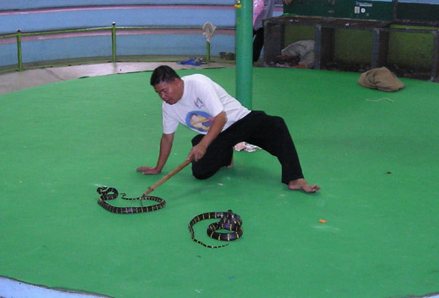 2003