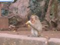 2004_02-Thailand/2014.jpg
