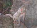 2004_02-Thailand/2016.jpg