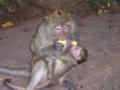 2004_02-Thailand/2017.jpg