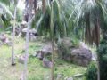 2005_01-Thailand/0312.jpg