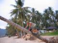 2005_01-Thailand/0336.jpg