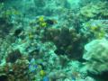 2005_01-Thailand/0422.jpg