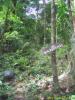 2005_03-Thailand/02006.jpg