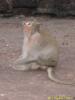 2005_03-Thailand/07008.jpg