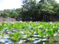 2006_01-Vietnam/06002.jpg