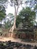 2006_02-Cambodia-Thai/08002.jpg