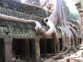 Ta Prohm 1