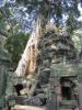 2006_02-Cambodia-Thai/08009.jpg