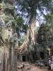 2006_02-Cambodia-Thai/08011.jpg