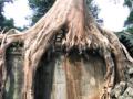 2006_02-Cambodia-Thai/08014.jpg