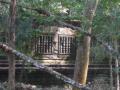 2006_02-Cambodia-Thai/10011.jpg