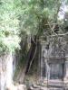 2006_02-Cambodia-Thai/10016.jpg