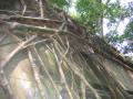 2006_02-Cambodia-Thai/10019.jpg