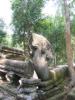 2006_02-Cambodia-Thai/10022.jpg