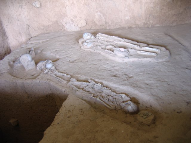 16005