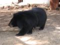 2006_02-Cambodia-Thai/17008.jpg
