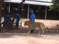 2006_02-Cambodia-Thai/17011.jpg