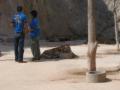 2006_02-Cambodia-Thai/17014.jpg