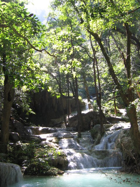 19007