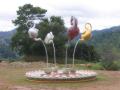 2007_11-Thailand/035.jpg