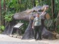 Phlio waterfall 3