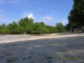 Siquijor beach