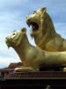 2008_11-Camba-Thai/12-img_0611.jpg