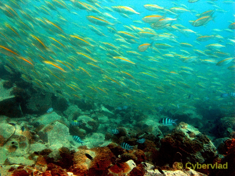 img_2076