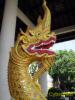 2010_11-Thailand/IMG_3213.jpg