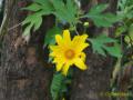 2010_11-Thailand/IMG_3532.jpg