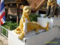 2010_11-Thailand/IMG_3667.jpg