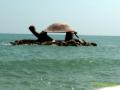 2010_11-Thailand/IMG_3750.jpg