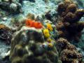 2011_05-Thailand/img_3844.jpg