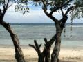2011_05-Thailand/img_3893.jpg