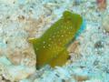 2011_05-Thailand/img_3927.jpg