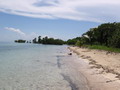 KIWI beach